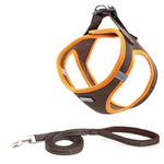 Comfortable Dog Chest Harness with Leash - It's my doggie