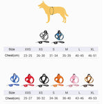 Comfortable Dog Chest Harness with Leash - It's my doggie