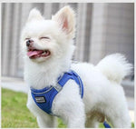 Comfortable Dog Chest Harness with Leash - It's my doggie