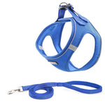 Comfortable Dog Chest Harness with Leash - It's my doggie