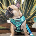 Small Dog Harness - Tropical Color - It's My Doggie