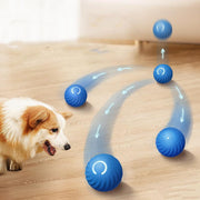 Rechargeable Rubber Training Ball - It's My Doggie