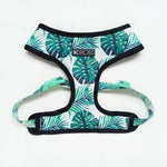 Small Dog Harness - Tropical Color - It's My Doggie