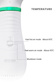 2-in-1 Pet Hair Dryer Brush