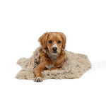 Cuddly Pet Blanket - It's My Doggie