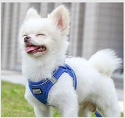 Comfortable Dog Chest Harness with Leash - It's my doggie